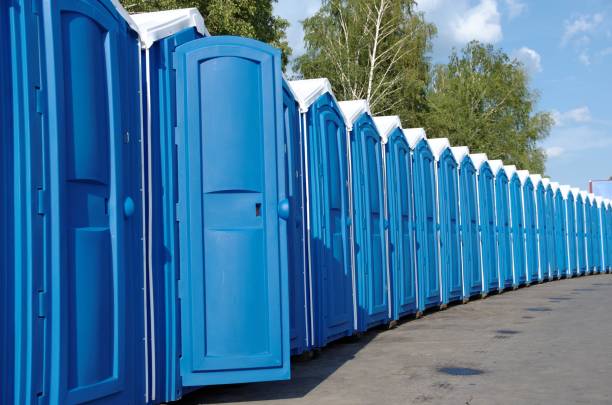 Best Affordable portable toilet rental  in Imlay City, MI